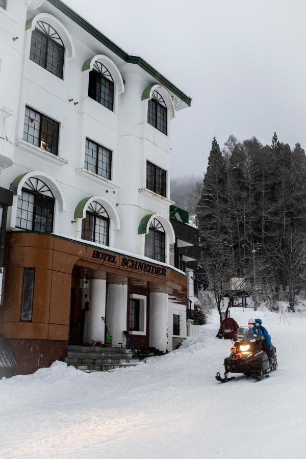 The Schneider Hotel Нодзава-Онсен Екстер'єр фото